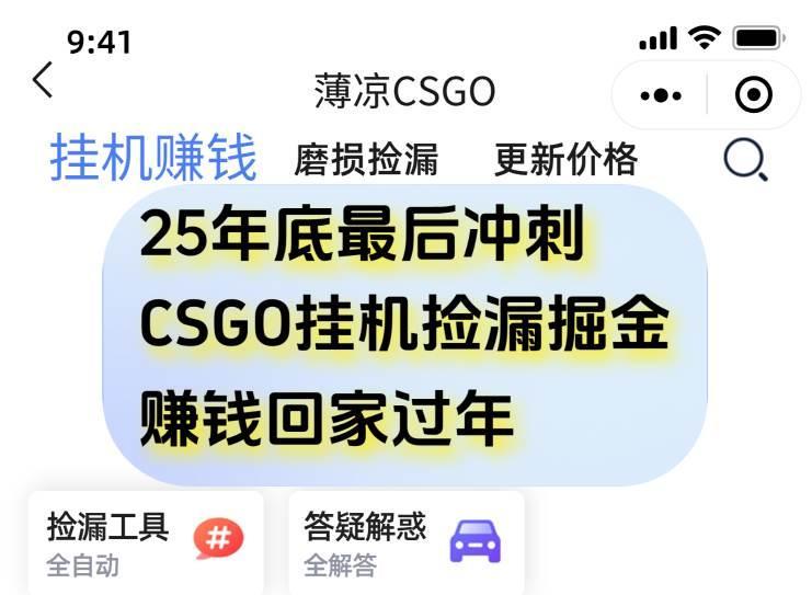 (16735期)12月年底抓紧最后一个月,用CSGO游戏挂机捡漏掘金赚钱掘金,一部手机轻松日入500+-资源站